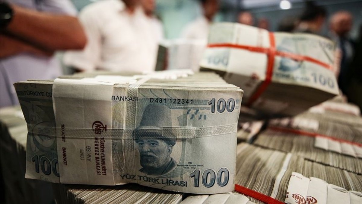 Yerel Kalkınma Hamlesi'nde 29,5 milyar liralık yatırım başvurusu