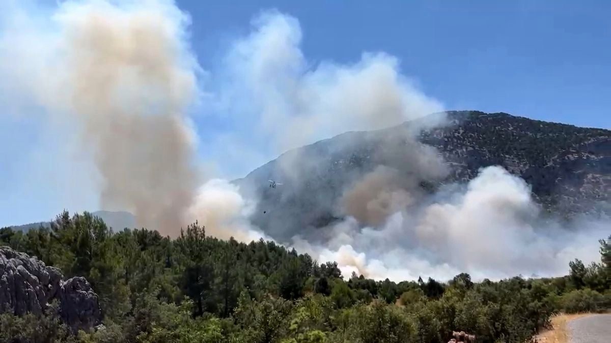 Akseki'de Orman Yangını: Havadan ve Karadan Müdahale Devam Ediyor
