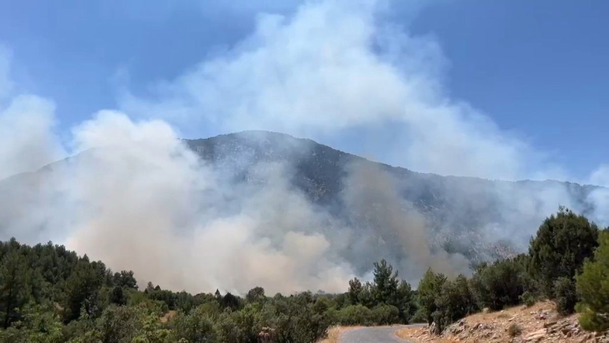 Antalya'da ormanlık alanda yangın