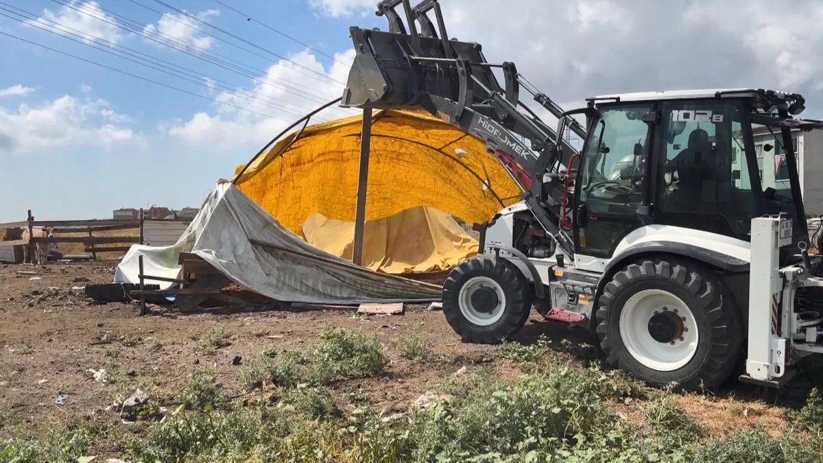 Avcılar'da kaçak ahır kümes ve barakalar belediye ekipleri tarafından yıkıldı