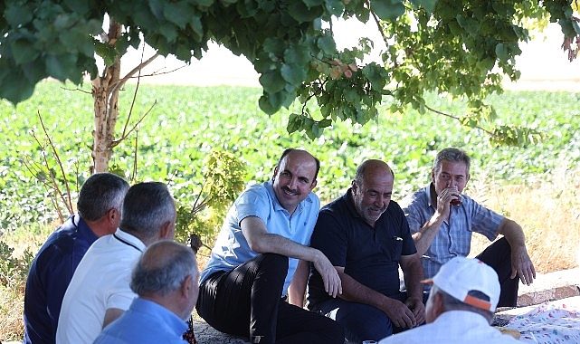 Başkan Altay Altınekin'de Hasat Yaptı