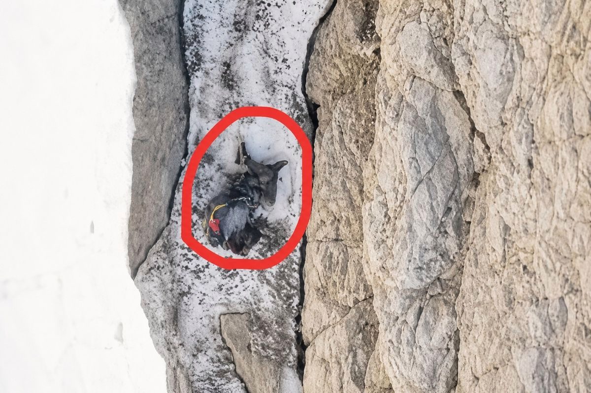 Ölen dağcının, 200 metre sürüklendikten sonra ipte asılı kaldığı bölge dronla görüntülendi