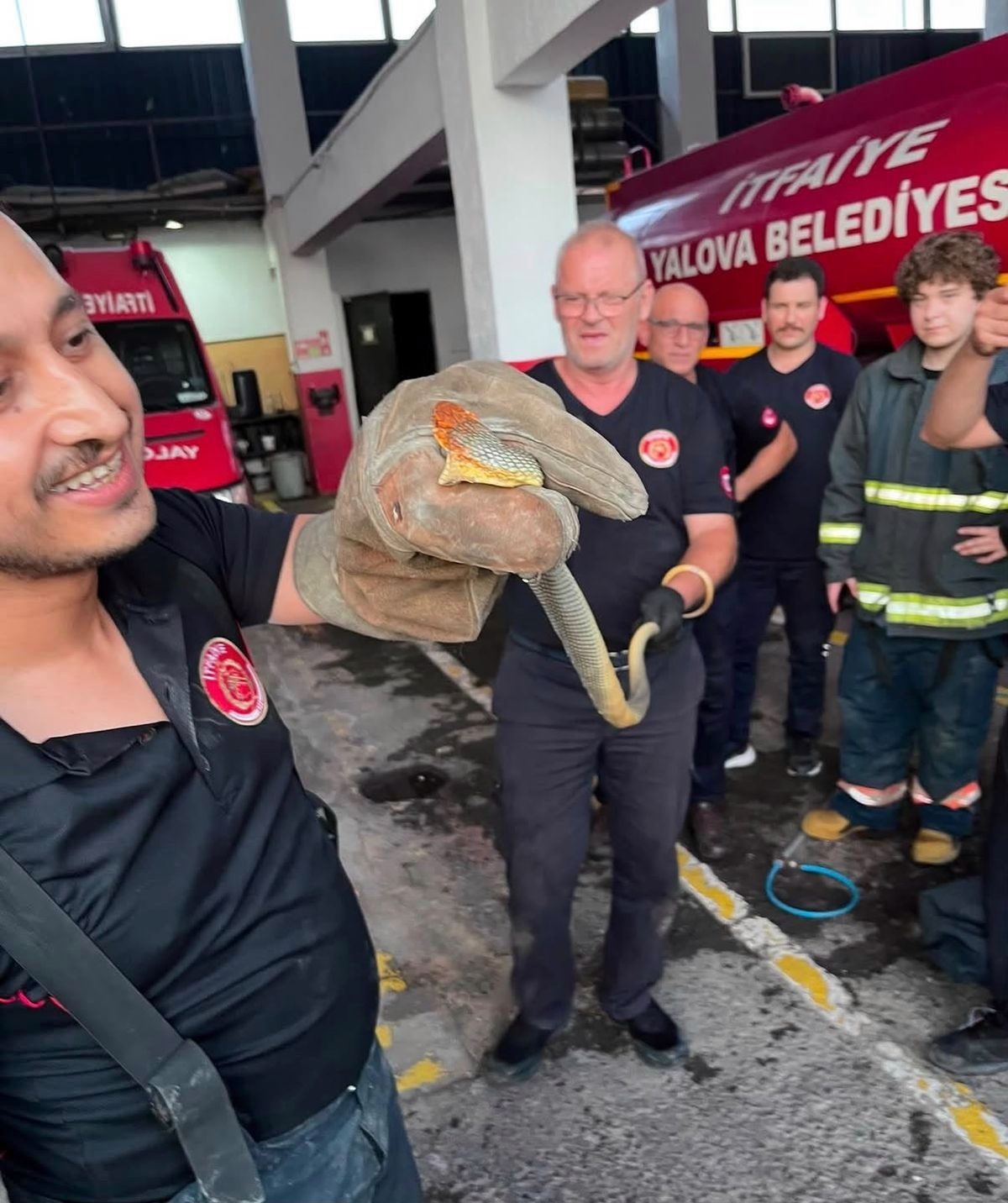 Yalova'ya feribotla gelen otomobilde yılan çıktı; o anlar kamerada