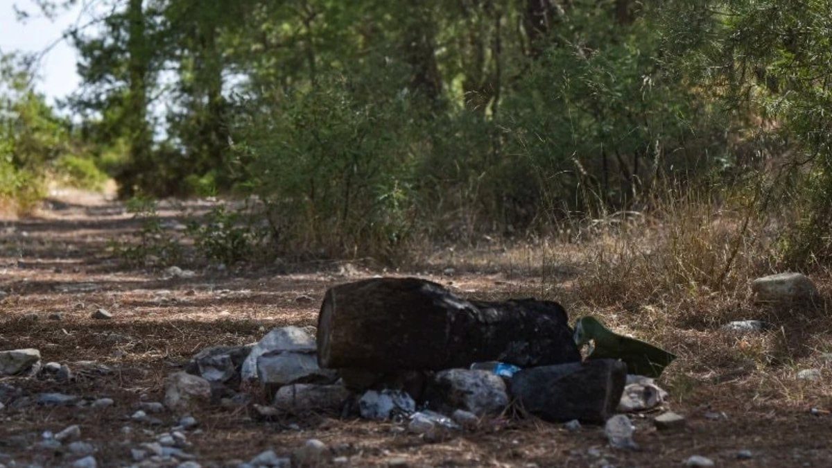 Antalya'da yasağa rağmen mangal duyarsızlığı