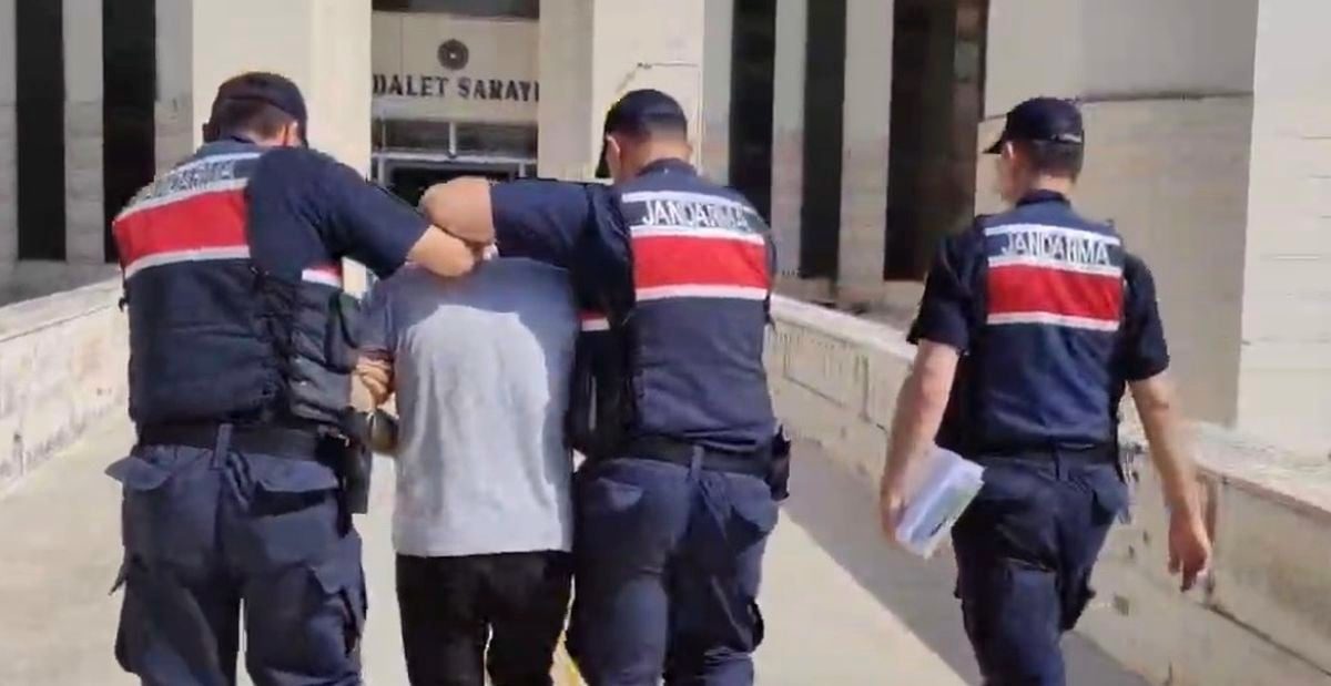 Edremit'teki orman yangınında gözaltına alınan şüpheli tutuklandı