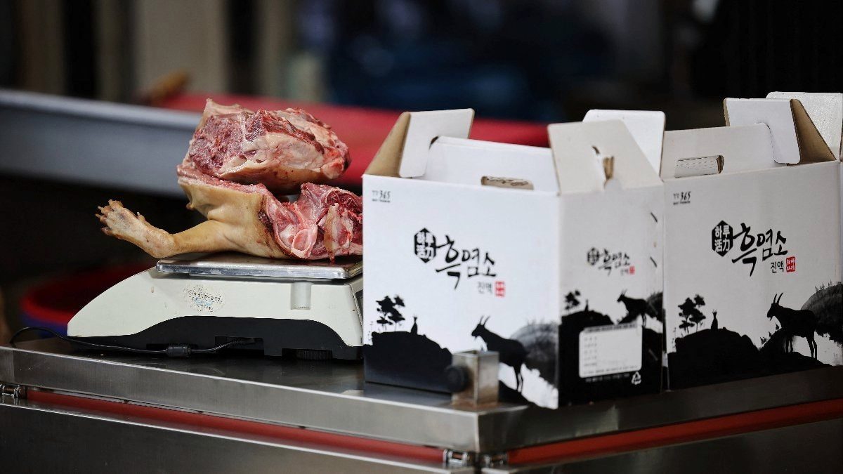 Güney Kore'de köpek eti yasağı öncesi vatandaşlar restoranlara akın etti