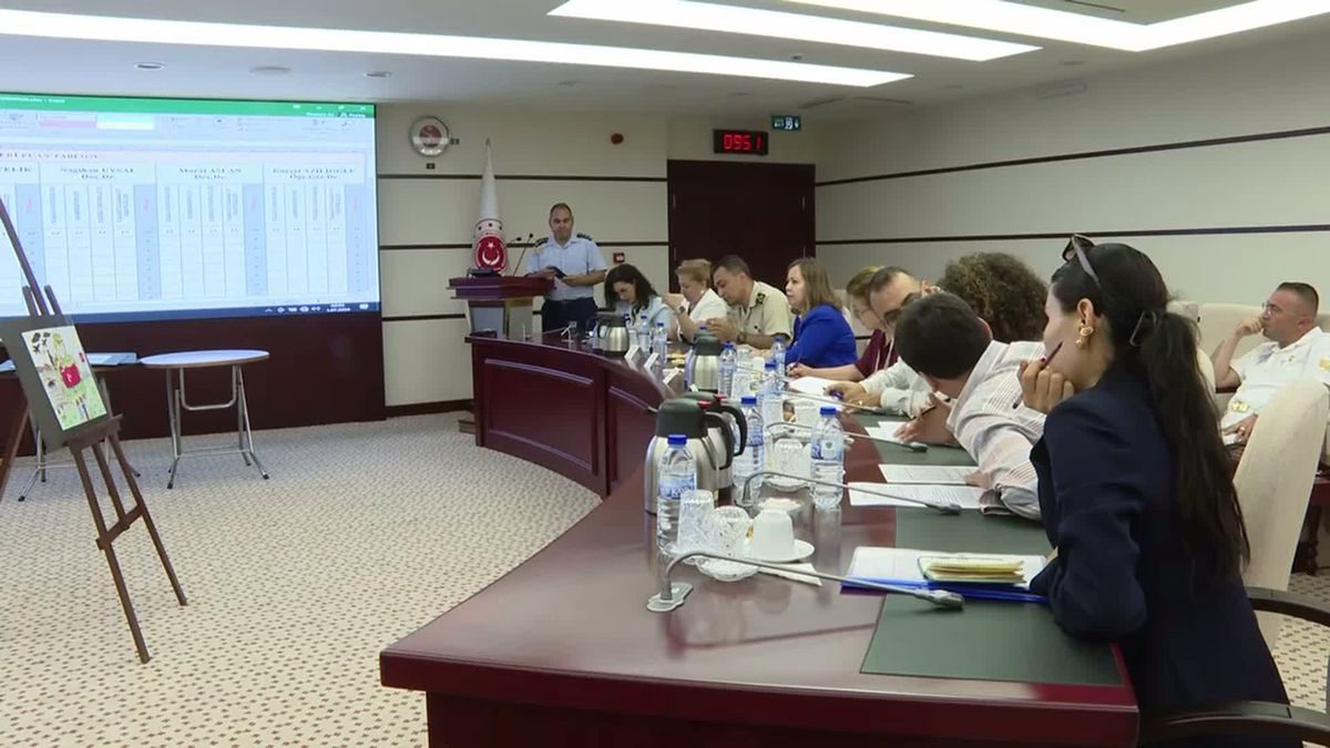 "Kahramanım Mehmetçik ve Vatan" resim yarışmasında dereceye girenler 21 Ağustos'ta açıklanacak