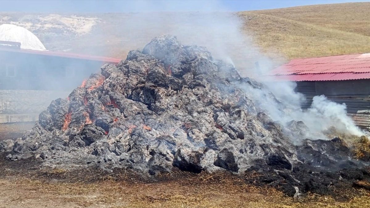 Kars’ta bir yıllık emek dakikalar içinde kül oldu: Bin balya ot yandı