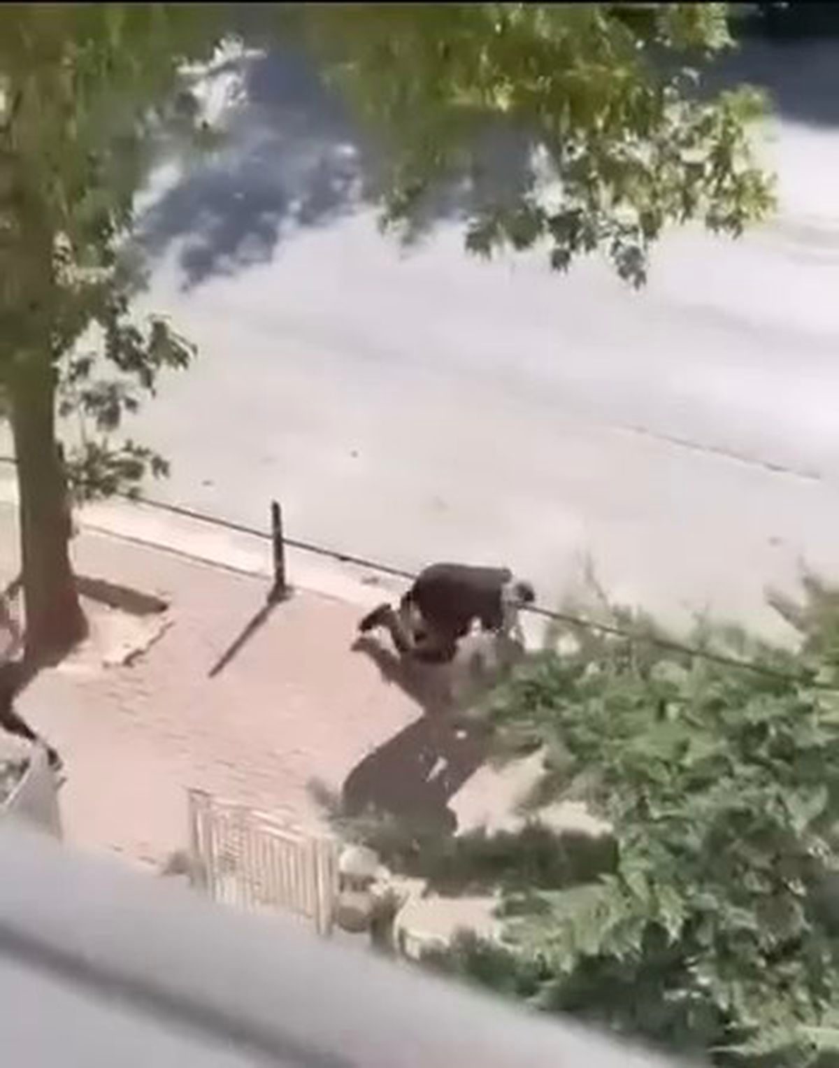 Konya'da Bıçaklı Husumet Cinayeti