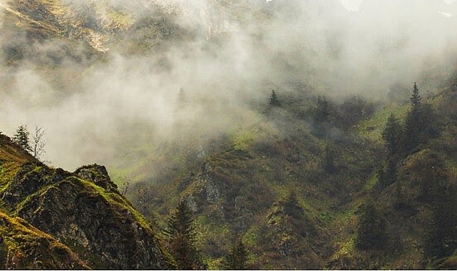 4 Bölümden Oluşan 'Vahşi Karpatlar', 26 Eylül Cumartesi Saat 20.00'de Art Arda Tüm Bölümleriyle National Geographic WILD Ekranlarında!