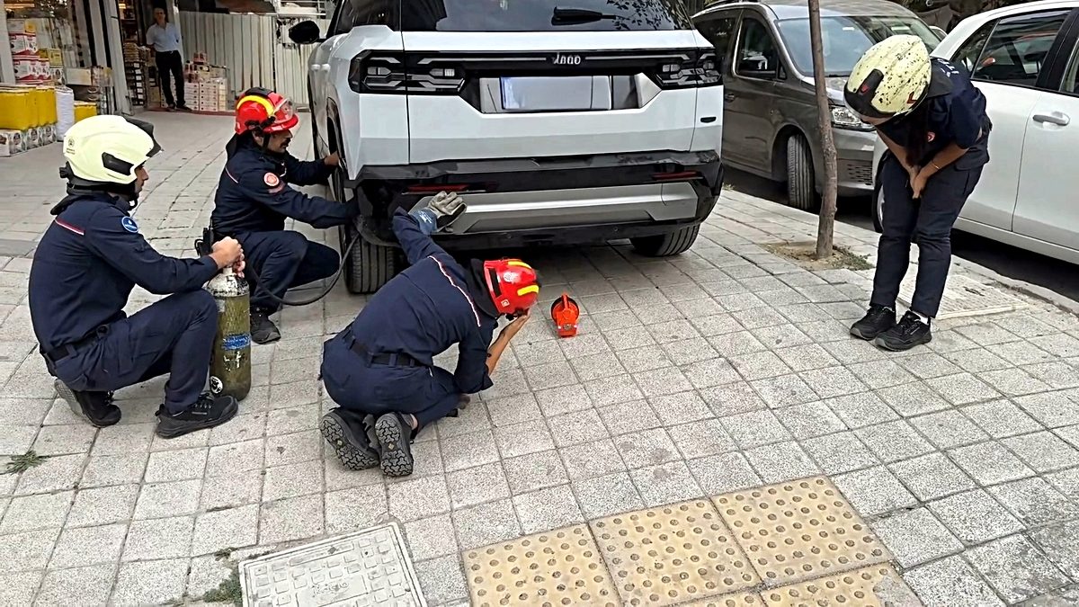 Avcılar'da cipin yedek lastik bölümüne sıkışan kediyi itfaiye ekipleri kurtardı
