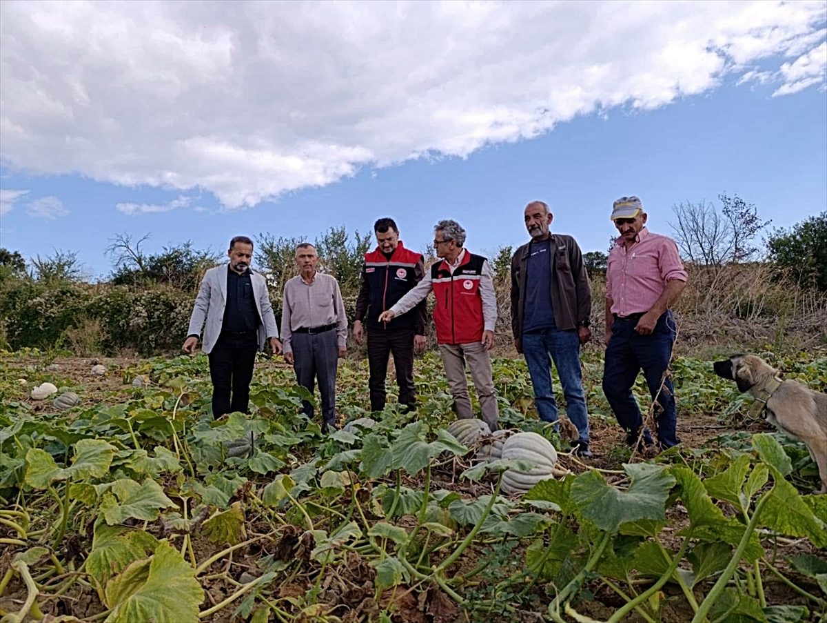 Tekirdağ İl Tarım ve Orman Müdürü Aksoy, bal kabağı üreticisini ziyaret etti