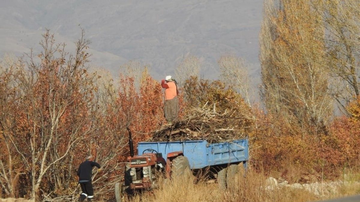 Erzincan'da kışlık odun hazırlığı başladı