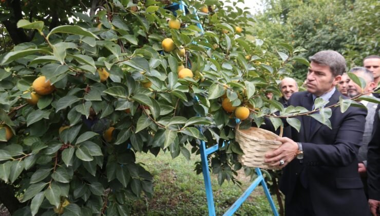 Rekolte için kravatlar çıkacak tulumlar giyilecek