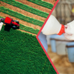 Kırsal Kalkınma Destekleri Çiftçilerin Hesaplarına Aktarılıyor