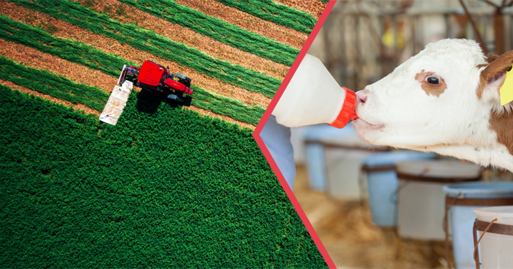 Kırsal Kalkınma Destekleri Çiftçilerin Hesaplarına Aktarılıyor