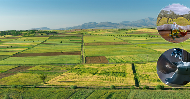 Tarımsal destekleme ödemeleri çiftçilerin hesaplarına aktarıldı