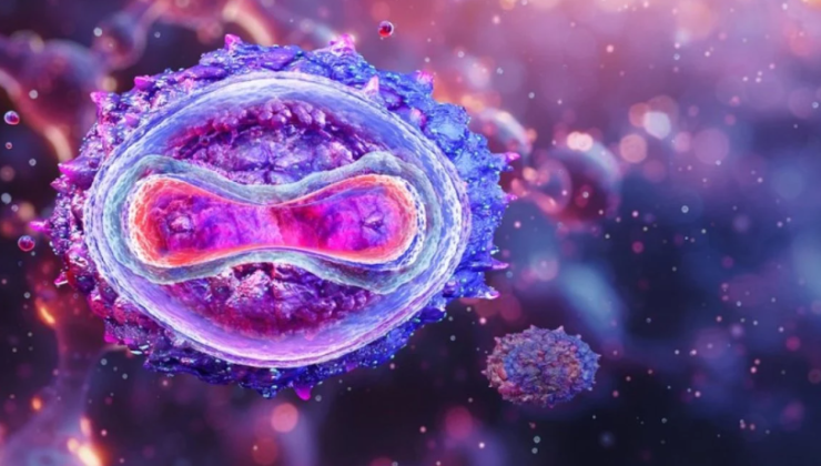 DSÖ’den maymun çiçeği virüsü için acil durum uyarısı