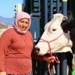 Antalyalı hayvan üreticisine destek