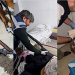 Antalya il genelinde huzur operasyonu!