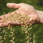 Tarım Kredi’den 50 milyon dolarlık zirai ilaç yatırımı – Birlik Haber Ajansı