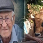 Burdur’da dananın saldırısına uğrayan adam hayatını kaybetti – Birlik Haber Ajansı