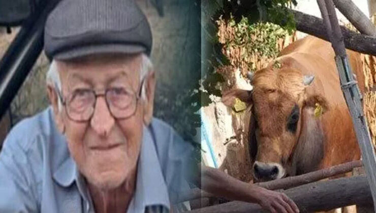 Burdur’da dananın saldırısına uğrayan adam hayatını kaybetti – Birlik Haber Ajansı