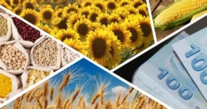 Çiftçilere destek ödemeleri hesaplara aktarıldı