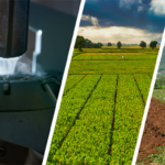 Çiftçilere Müjde, destekleme ödemeleri hesaplarına aktarıldı