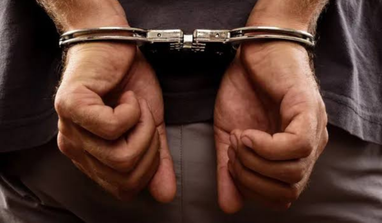 DEAŞ Operasyonu: 12 şüpheli yakalandı