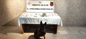 Amasya’da uyuşturucu operasyonu: Bir kişi tutuklandı