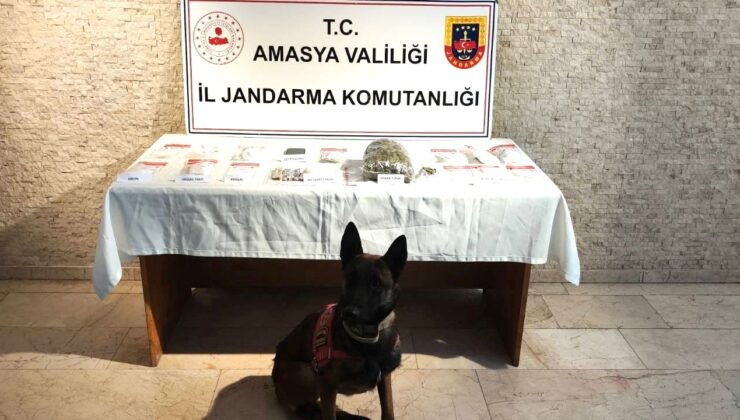 Amasya’da uyuşturucu operasyonu: Bir kişi tutuklandı