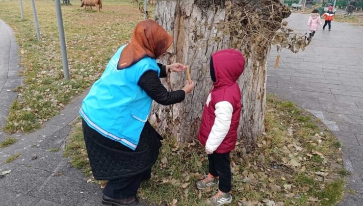 Kars’ta miniklerden iç ısıtan iyilik…