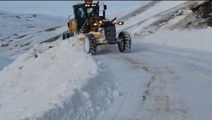Kars’ın Selim ve Ardahan’ın Göle ilçesi tipi nedeniyle ulaşıma kapatıldı