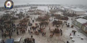 Kars’ta Hayvan Pazarı’nın giriş çıkışlarında uygulama yapıldı