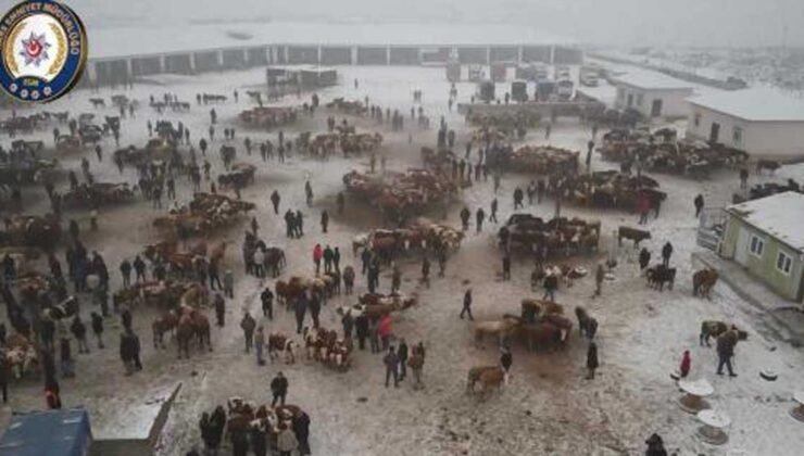 Kars’ta Hayvan Pazarı’nın giriş çıkışlarında uygulama yapıldı