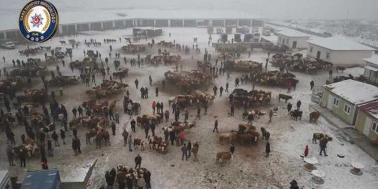 Kars’ta Hayvan Pazarı’nın giriş çıkışlarında uygulama yapıldı