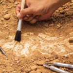 Bilim insanları Çin’de yeni bir insan türü tanımladı