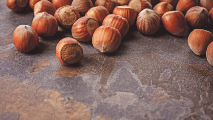 Trabzon’un fındık ihracatı yüzde 51 arttı