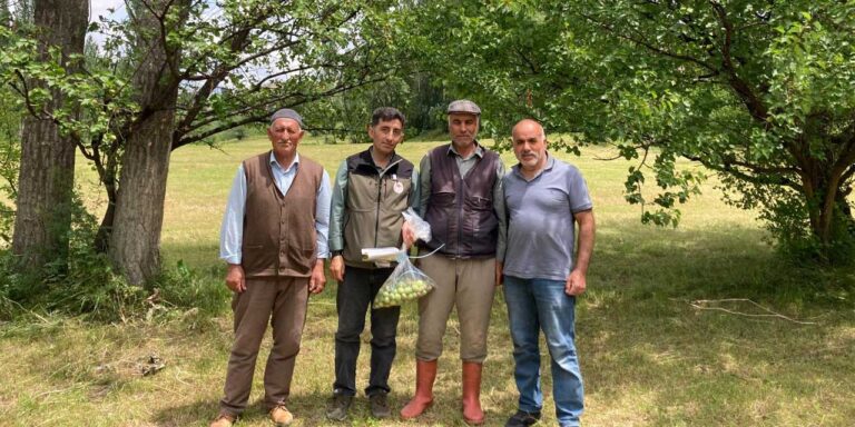 Kars Tarım İl Müdürlüğü, hasat öncesi pestisit denetimleri gerçekleştirdiler