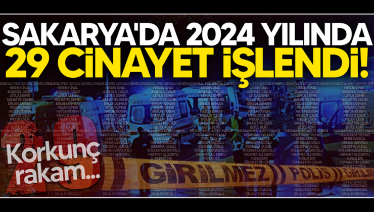 Sakarya’da 2024 yılında 29 cinayet işlendi! – Birlik Haber Ajansı