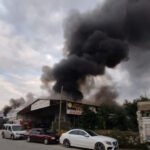 Mobilya deposu yandı, alevler muz ve çiçek serasına sıçradı