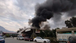 Mobilya deposu yandı, alevler muz ve çiçek serasına sıçradı