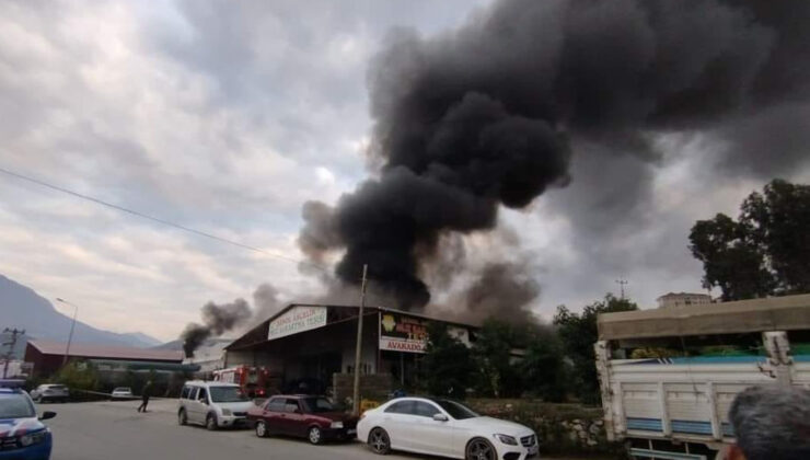 Mobilya deposu yandı, alevler muz ve çiçek serasına sıçradı