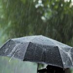 Yeni yıla yağışlı başlangıç – Birlik Haber Ajansı