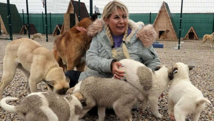 Sokak hayvanları için yapılan bağışlarla haksız kazanç elde eden Buket Özgünlü ve yakınları tutuklandı