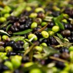 2024'te 60 milyon dolarlık zeytin ihraç edildi