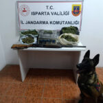 Isparta’da jandarmanın uyuşturucu operasyon bilançosu – Birlik Haber Ajansı