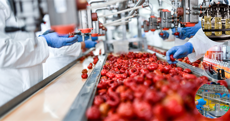 Gıda İşleme ve Pazarlama Sektörüne 527,1 milyon lira hibe verilecek – Birlik Haber Ajansı