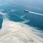 Marmara’da müsilaj tehlikesi sürüyor